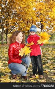 mother with son in the park in autumn with yello leaves