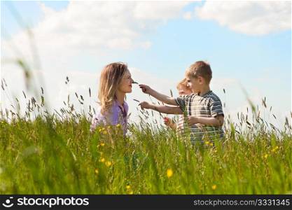 Mother with two little boys playing in the grass on a summer meadow