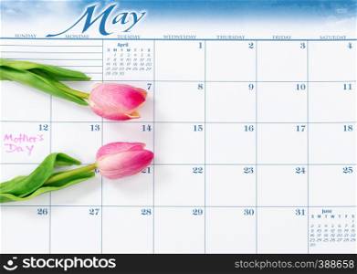 Mothers Day holiday marked on calendar with pink tulips