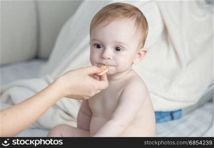 Mothers hand giving her baby son a biscuit