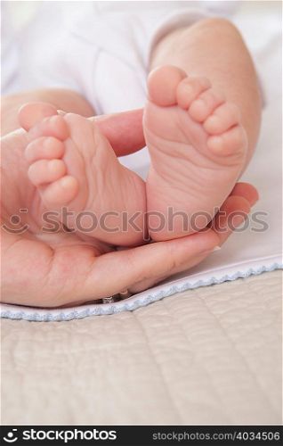 Mothers hand holding baby boys feet
