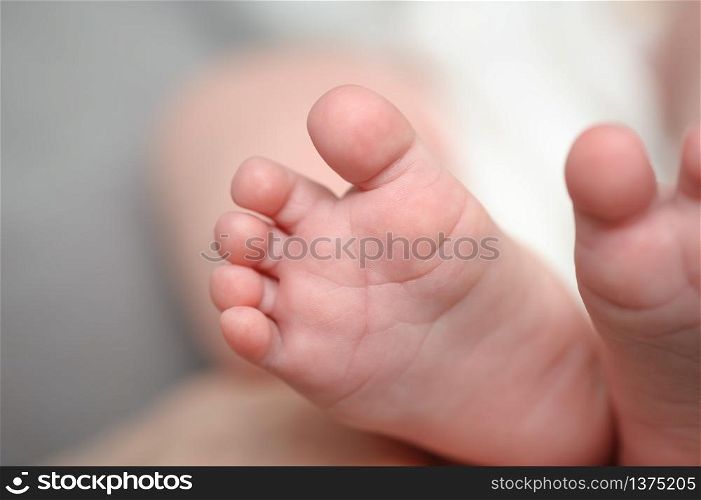 Mothers hands holding little newborn baby feet, macro closeup, selective focus. Mothers hands holding newborn baby feet