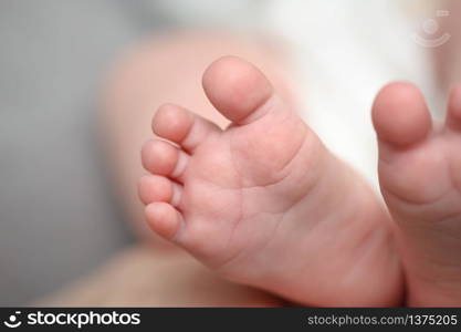 Mothers hands holding little newborn baby feet, macro closeup, selective focus. Mothers hands holding newborn baby feet