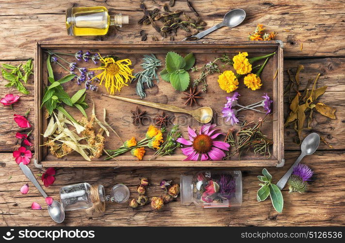 motley healthy herbs. Bottles of tincture and healthy herbs in a wooden box