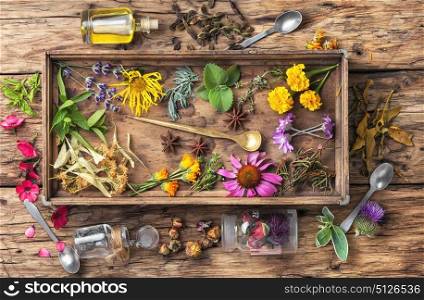 motley healthy herbs. Bottles of tincture and healthy herbs in a wooden box