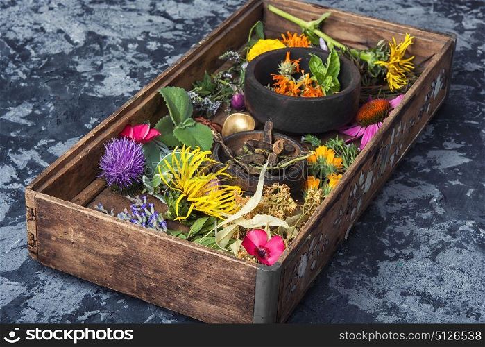 motley healthy herbs. set of herbs, plants and inflorescences in a wooden box