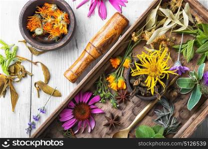 motley healthy herbs. set of herbs, plants and inflorescences in a wooden box