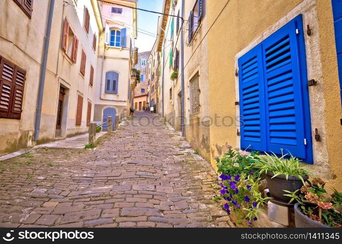 Motovun. Paved colorful street of old town of Motovun, Istria region of Croatia