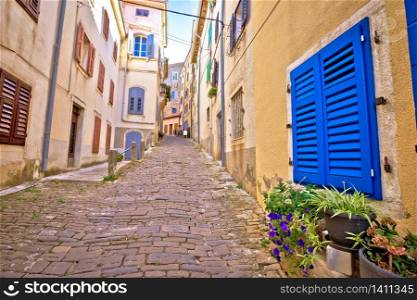 Motovun. Paved colorful street of old town of Motovun, Istria region of Croatia