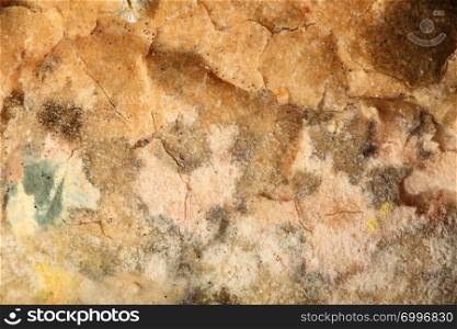 Mould growing old bread nobody texture background