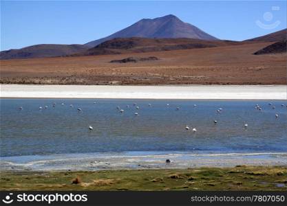 Mount and lake near the Uyuni in Bolivia