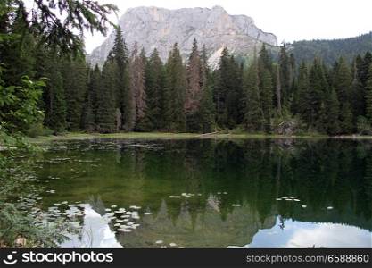 Mount and reflection in the lake, Durmitor, Montenegro