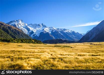 Mount Cook valley alpine landscape, New Zealand. Mount Cook valley landscape, New Zealand