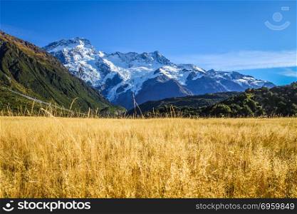 Mount Cook valley alpine landscape, New Zealand. Mount Cook valley landscape, New Zealand. Mount Cook valley landscape, New Zealand