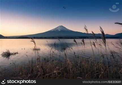 mount Fuji at dawn with peaceful lake