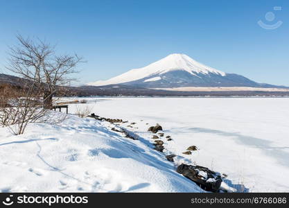 Mount Fuji at Iced Yamanaka Lake in Winter