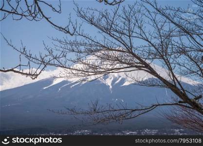 Mount Fuji view from Red pagoda in japan