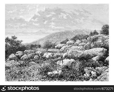 Mount Gerizim in Israel, vintage engraved illustration. Le Tour du Monde, Travel Journal, 1881