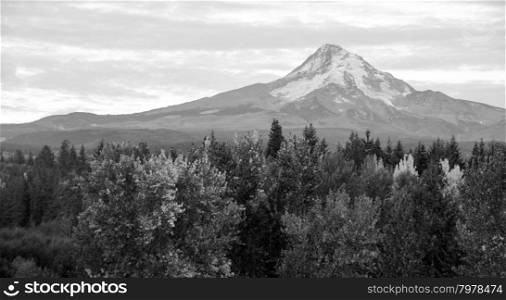 Mount Hood stands alone in the fall at sunrise