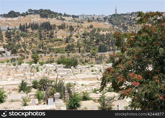 Mount of Olives and the Russian Orthodox Tower and Church of the Ascension