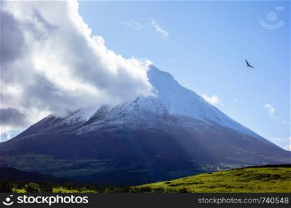 Mount Pico volcano under blue sky with cloud coming off summit and bird nearby, in Azores, Portugal.