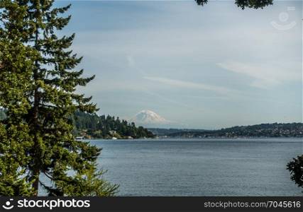 Mount Rainier can be seen in the distance with Lake Washington in the foregrund. Mercer Island is on the left. Shot taken at Seward Park.