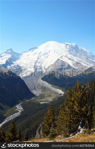 Mount Rainier during summer time