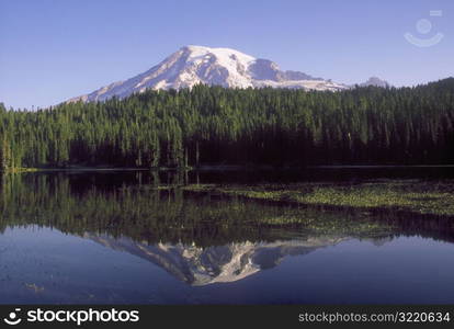 Mount Rainier National Park