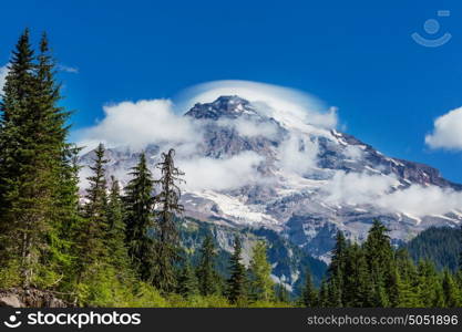 Mount Rainier national park, Washington