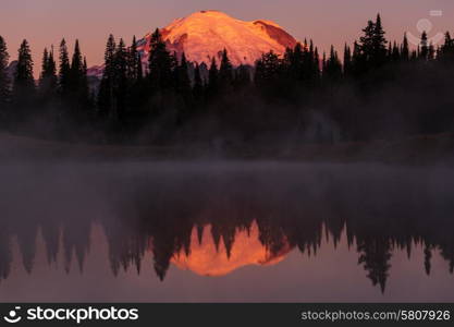 Mount Rainier national park, Washington