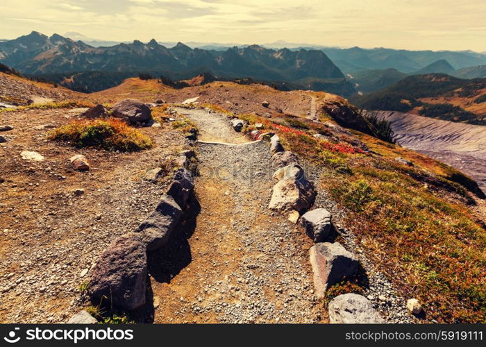 Mount Rainier national park, Washington