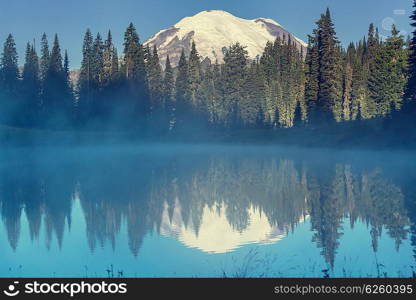 Mount Rainier national park, Washington