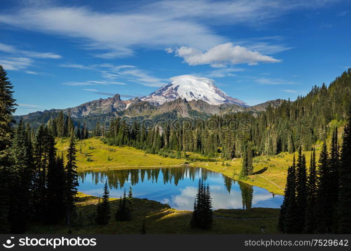 Mount Rainier national park, Washington