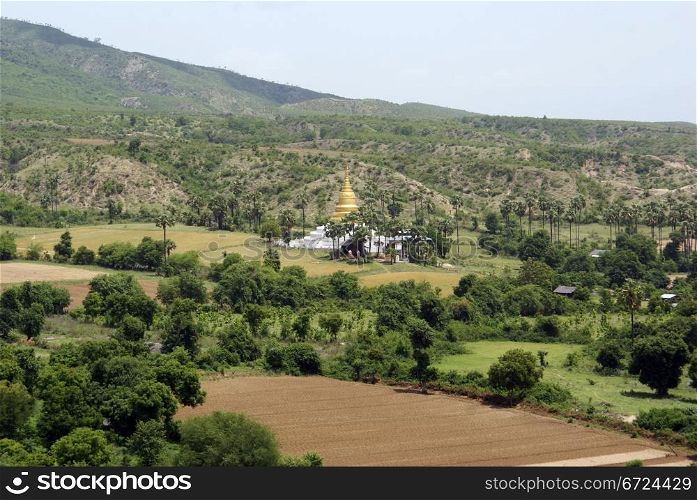 Mount, tree, field and buddhist stupa in Myanmar