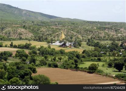 Mount, tree, field and buddhist stupa in Myanmar