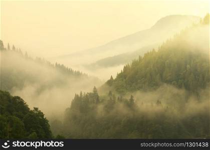 Mountain aerial morning landscape. Composition of nature.