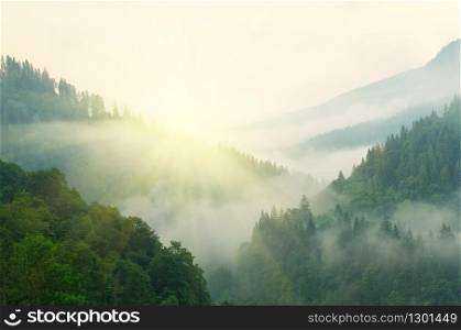 Mountain aerial morning landscape. Composition of nature.