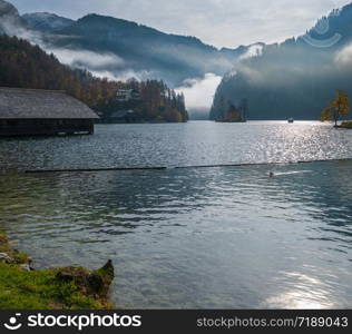 Mountain alpine autumn misty morning lake Konigssee, Schonau am Konigssee, Berchtesgaden national park, Bavaria, Germany. Picturesque traveling, seasonal and nature beauty concept scene.