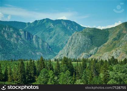 Mountain Altai. Chuisky Katyn valley