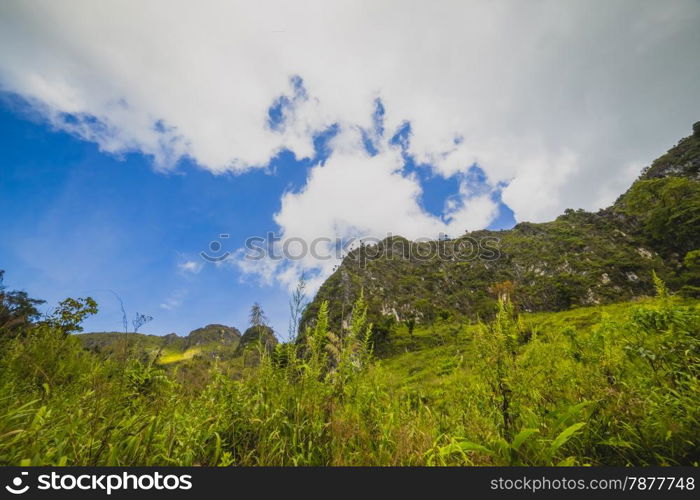 Mountain and field