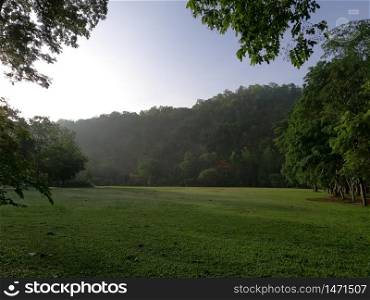mountain and grass field in Morning