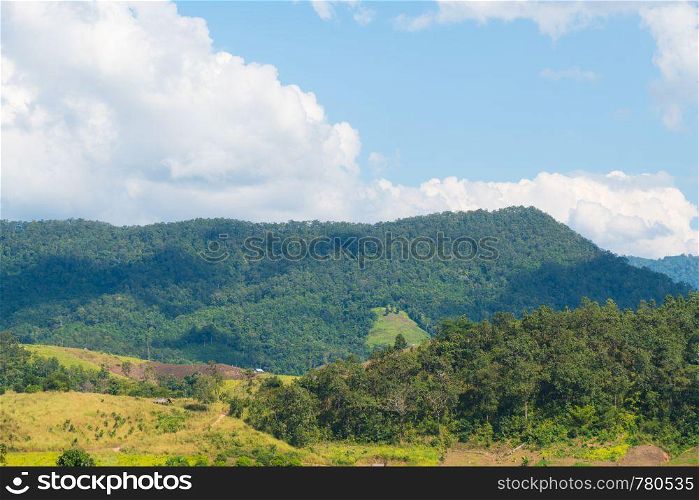 Mountain and sky in summer season. Forest tree and mountain in day.
