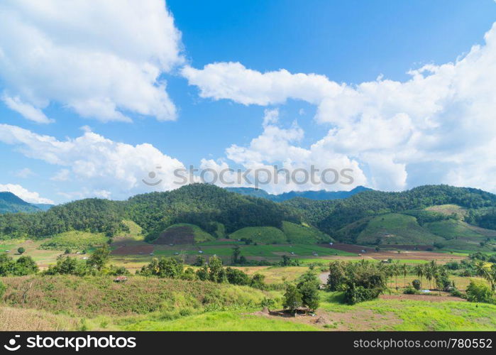 Mountain and sky in summer season. Forest tree and mountain in day.