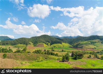 Mountain and sky in summer season. Forest tree and mountain in day.