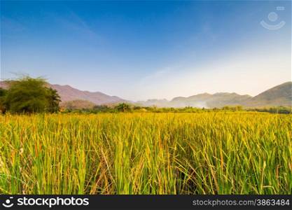 Mountain and sky view at reservoir ,that full with bulrush or Cat-tail, in Kanchanaburi,Thailand