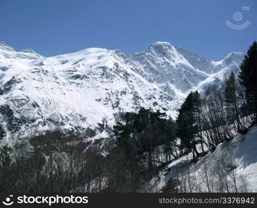 Mountain and the forest