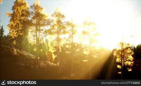 mountain autumn landscape with yellow forest