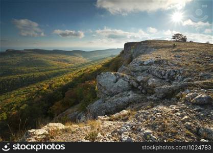 Mountain autumn nature landscape. Composition of nature.