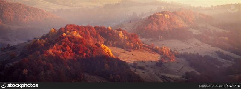 Mountain autumn panoramic landscape with colorful forest. Relict beech and hornbeam woodland. Panorama of sunrise in Carpathian mountain valley with wonderful gold light on a hills.