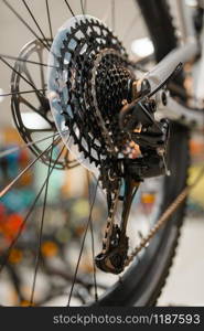 Mountain bicycle in sports shop, focus on rear wheel with gear shift system, nobody. Summer active leisure, showcase with bikes, cycle sale, professional biking equipment. Mountain cycle in sports shop, focus on rear wheel